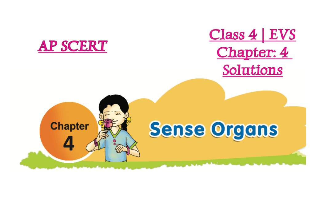Sense Organs