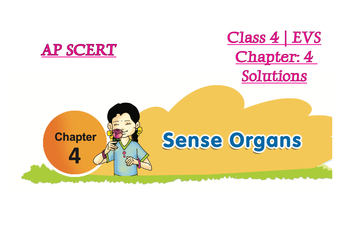 Chapter 4: Sense Organs | Class 4 | EVS textbook Solutions