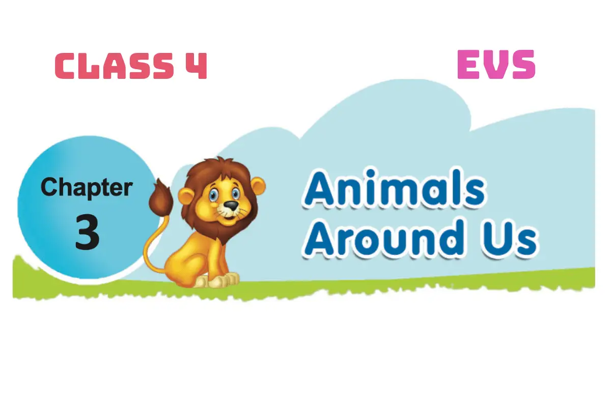 Chapter 3: Animals Around Us | Class 4 | EVS | AP SCERT
