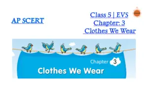 Clothes we wear