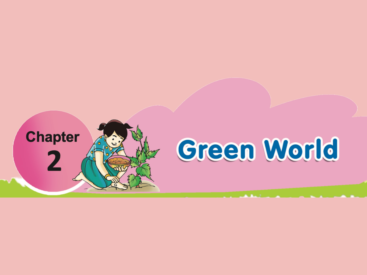 Chapter 2 Green World | Class 4 | EVS | APSCERT