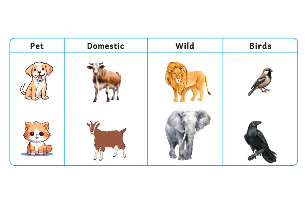 petanimals, domestic animals, wild animals, birds