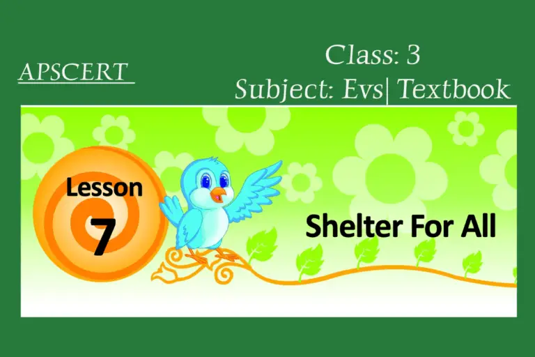 Shelter for all