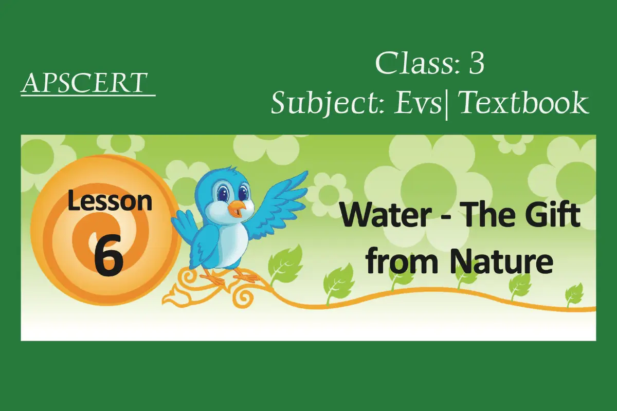 EVS | Lesson 6: Water – The Gift from Nature
