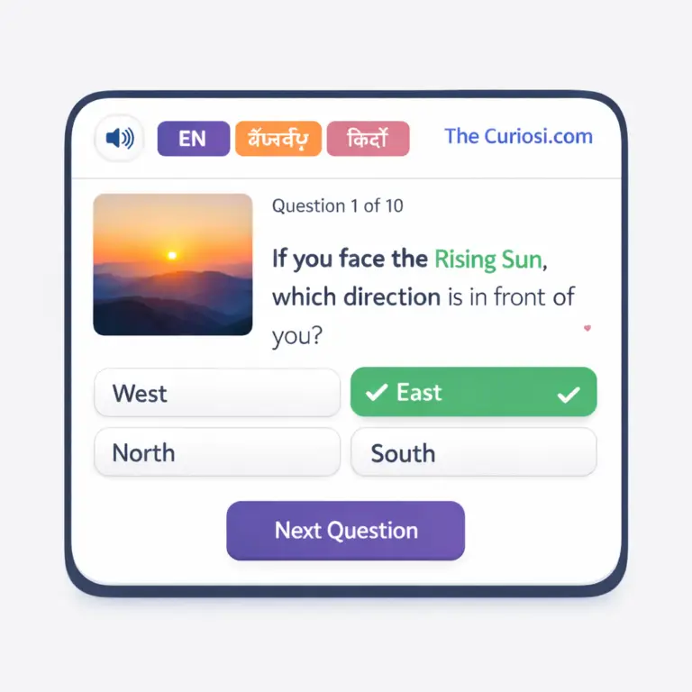 Class 3 | EVS Quiz 11: This is the way