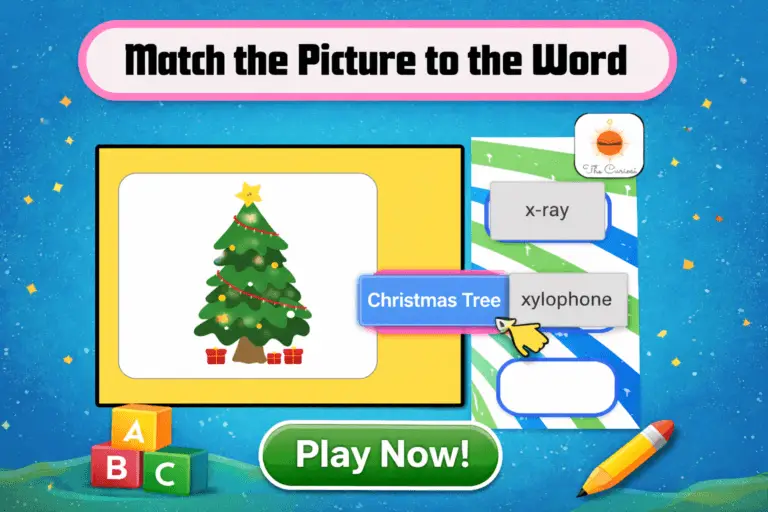 match the picture