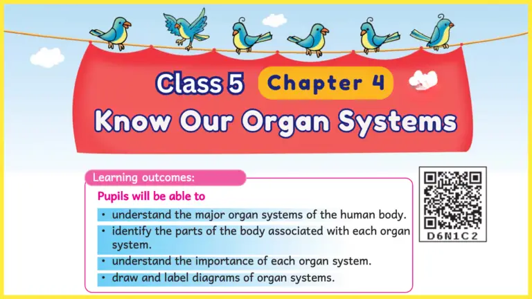 Know Our Organ Systems