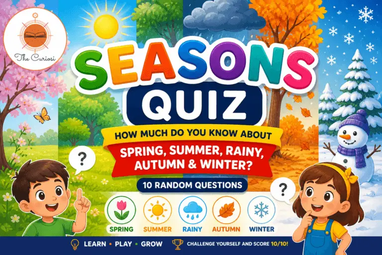 Seasons Quiz for Kids Spring Summer Autumn Winter Monsoon